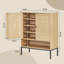 Tiani 18 Pair Shoe Storage Cabinet