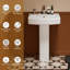 Lavabo sur piédestal rectangulaire Los Flexi 22 po x 17 po, avec trop-plein et trou de robinet simple