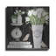 «Tulips And Scales» par Cindy Jacobs-101539787