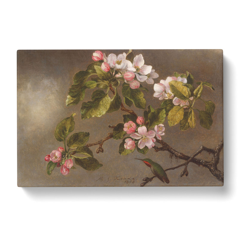 Apple Blossom by Martin Johnson Heade - Wrapped Canvas, 40cm H x 60cm W x 3cm D