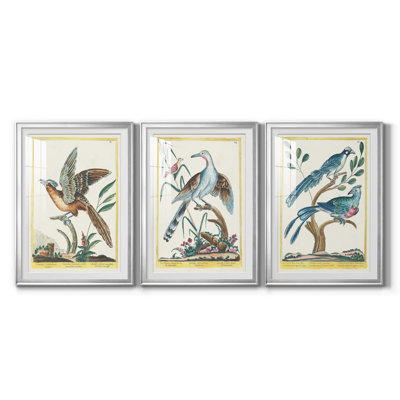 " Pastel Birds IV " 3 - Pieces Painting Print