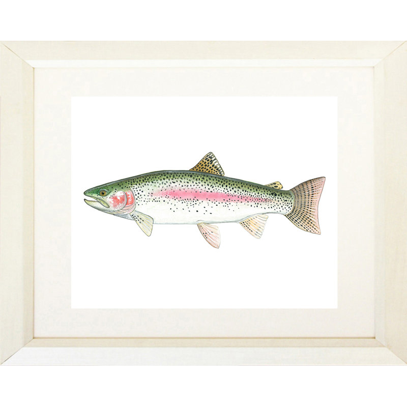 " Rainbow Trout " by Ed Capeau, 16" H x 20" W, Cream, White Framed