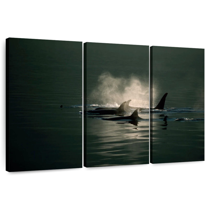 Brampt Orca Whale Pod, 28" H x 45" W