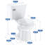 Toilettes murales 1,5 gallons GPF Belleze