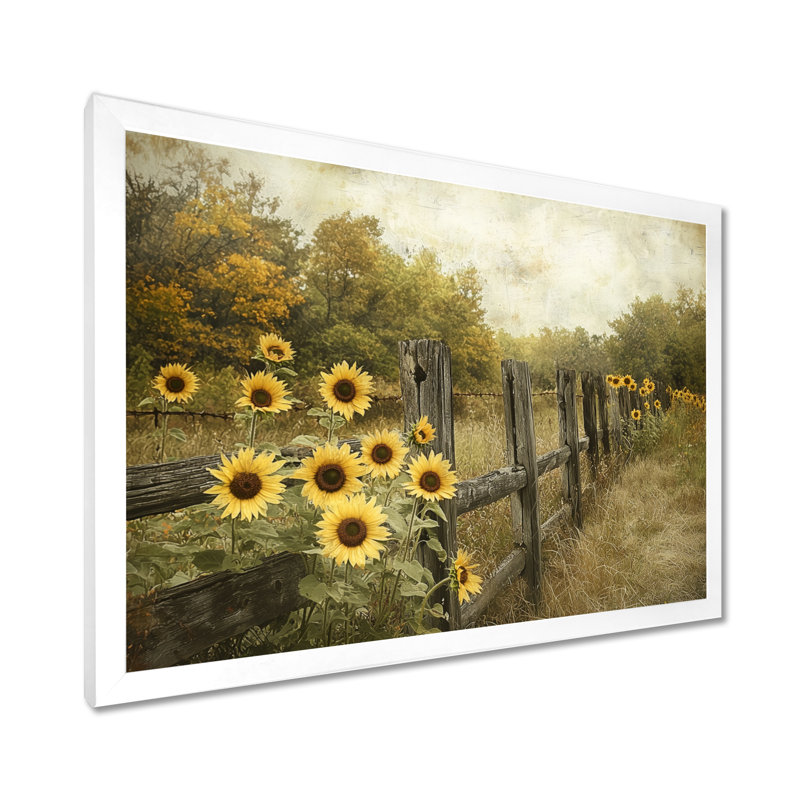 Dortley tournesols le long de la clôture de grange III - tournesols, art mural, Reproduction encadrée d'une seule photo