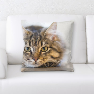 Lassiter Cat Square Pillow Cover & Insert