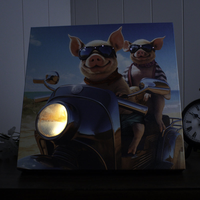 Cochon en fibre optique 10 x 10