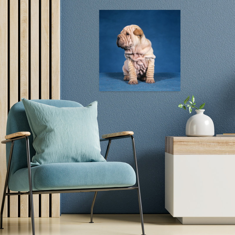 1990S Chinese Shar Pei Puppy Dog Sitting Classic Retro Vintage Dog Wall Art, H 18 po x l 18 po