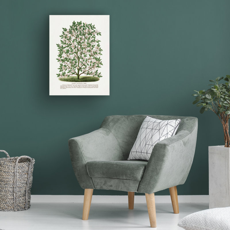 Reproduction d'art sur toile, "Magnolia", H 19 po x l 14 po