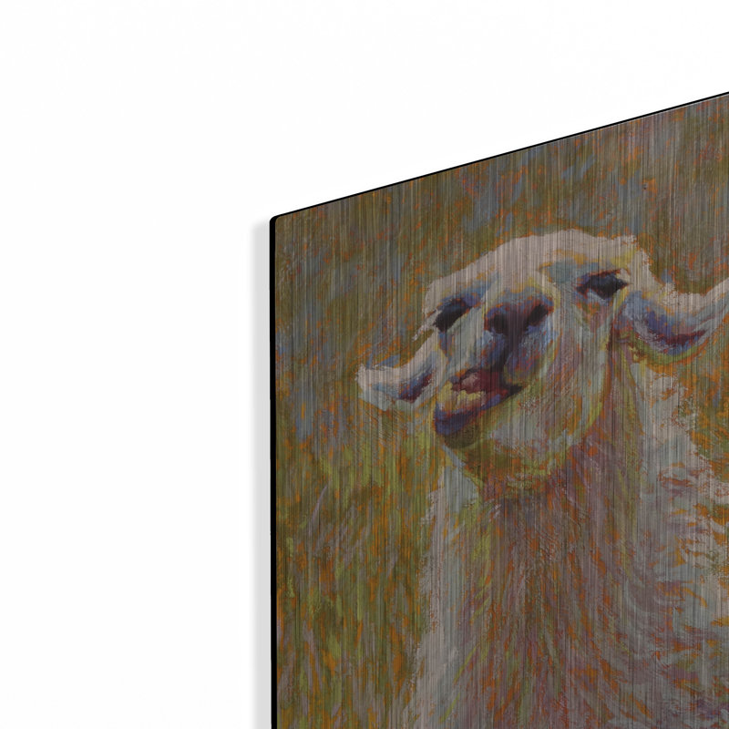 "Candido" par Rita Kirkman, H 16 po x l 12 po