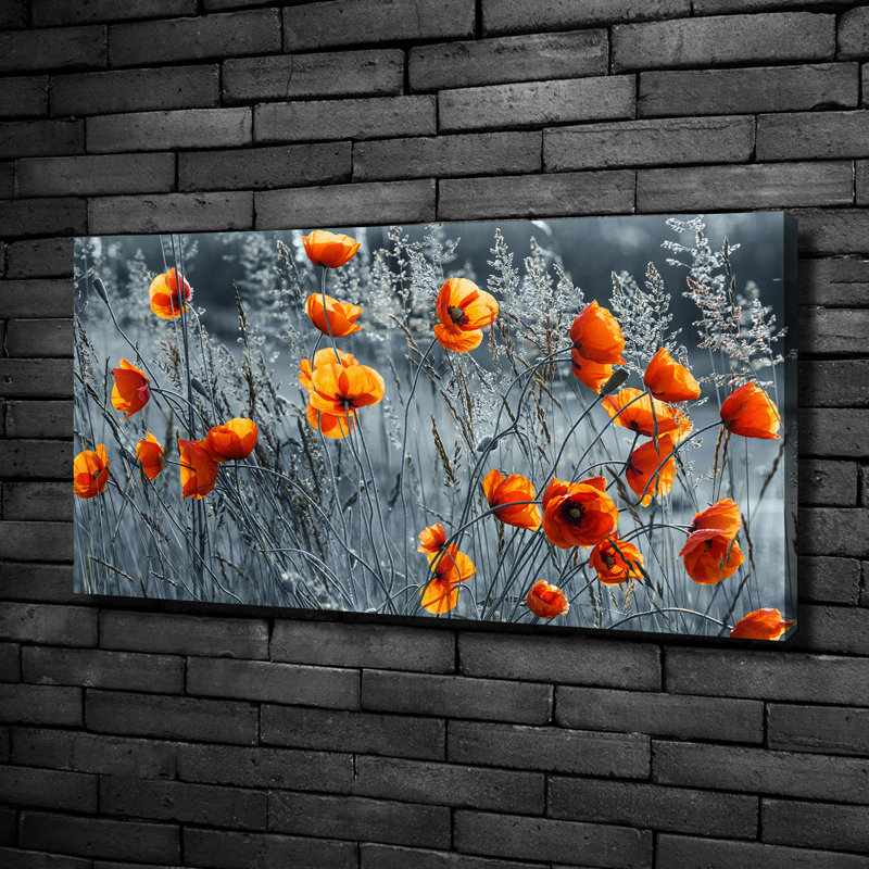 Field Poppy - Wrapped Canvas Print, Canvas, 50cm H x 100cm W