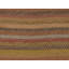 Striped Area Rug in Brown