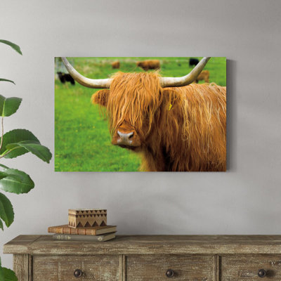 «Scottish Highland Catch I» par Alan Majchrowicz, reproduction de photo sur toile tendue