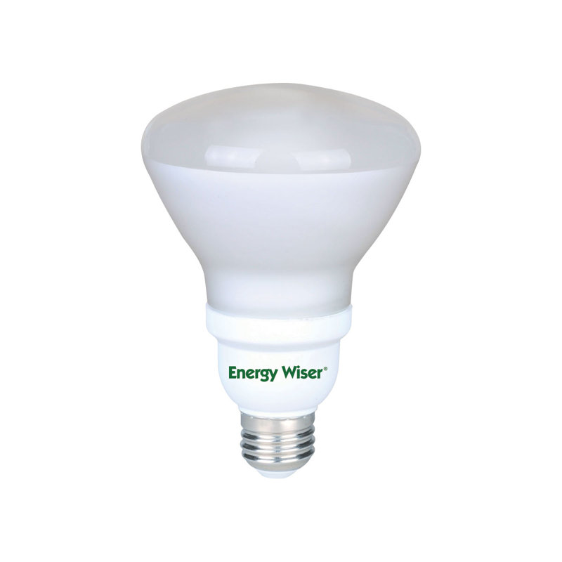 15 Watt, R30 Compact Fluorescent (CFL) Light Bulb, E26/Medium (Standard) Base, 2700K