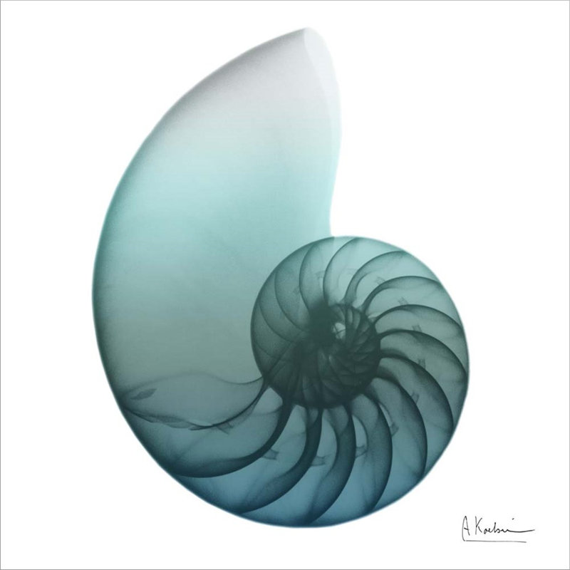 «Water Snail 4» par Albert Koetsier, impression sur toile tendue