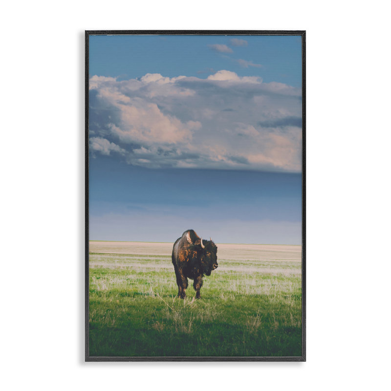 Giclée encadrée, soleil par dessus un bison solitaire, conception par Annie Bailey Art, H 18 po x l 12 po
