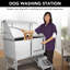 Baignoire de toilettage pour grands chiens, station de baignade professionnelle