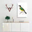 Wagtail Bird by George Shaw - Wrapped Canvas-55330520