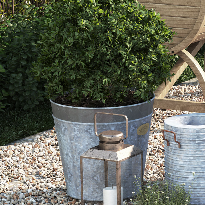 Cassandra Metal Cachepot, 40cm H x 40cm W x 40cm D