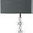 Raney 60'' Chrome Traditional Floor Lamp