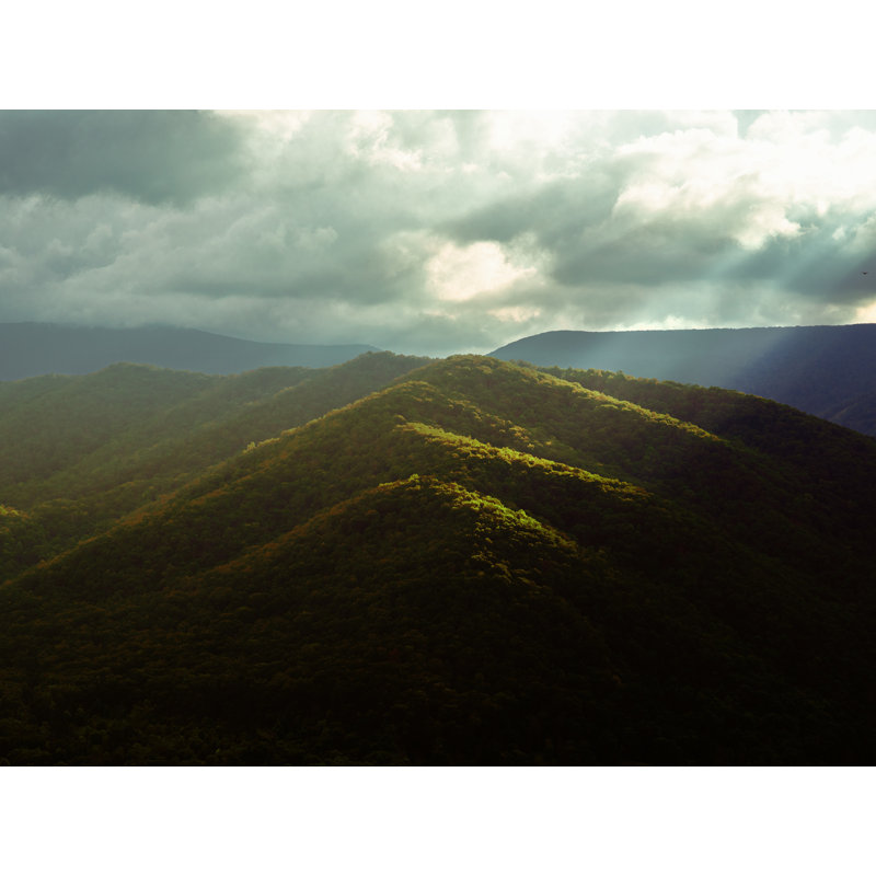 Break Through - Monongahela Forest Print by Scott Wurzel, 16" H x 20" W, 20" H x 16" W