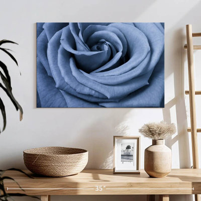 Rose bleue Harnek en gros plan