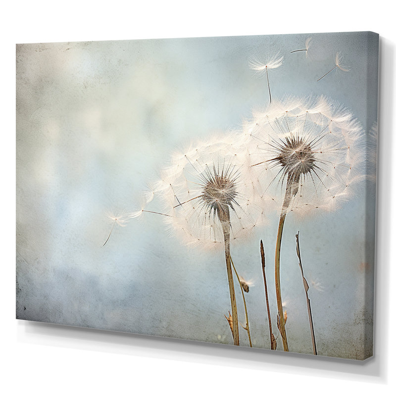 White Dandelion Farmhouse Still Life - Dandelion Canvas Print, Wrapped Canvas, 40" H x 30" W