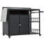 Îlot de cuisine extérieur 63,5 po