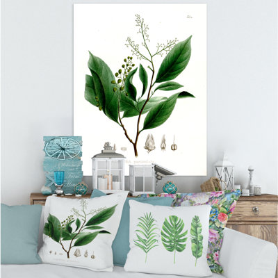 Plante brésilienne rétro II - peinture sur toile