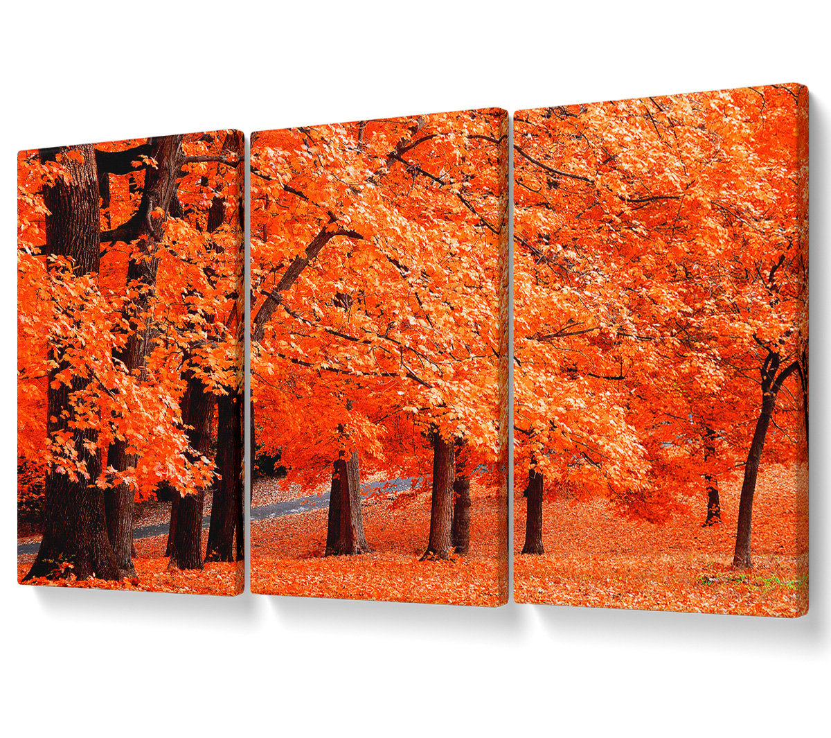 Ebern Designs Orange Tree Parade - 3 Piece Wrapped Canvas Graphic Art ...