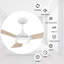 Ventilateur de plafond intelligent 56 po avec lumières DEL