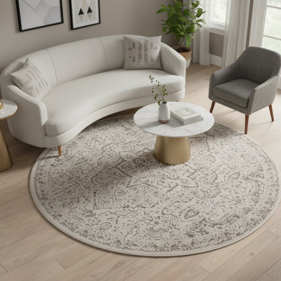 Nimaha Transitional Medallion Oriental Area Rug