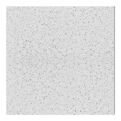 2 ft. x 2 ft. Drop Ceiling Tiles,12-Pack Acoustic Ceiling Tiles,Polyester Ceiling Panels for Home,Office(48 sq.ft./Case)