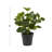 Green Faux Foliage Eucalyptus Indoor Outdoor Artificial Plant with Realistic Leaves and Black Round Pot, 10" x 7" x 13"