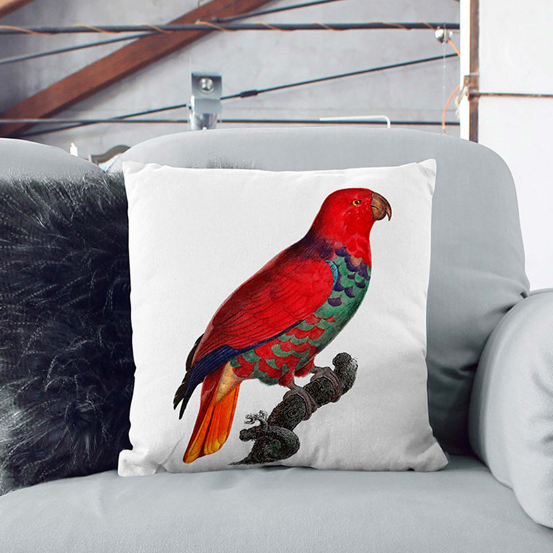 Square Cushion, 55cm H x 55cm W x 20cm D, Black