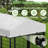 15 Chickens Run  for Chickens, Ducks, Rabbits & More - Predator-Resistant,  Wind & Snow Durable Chicken Pen - 8X4X5.6-FT-132525124
