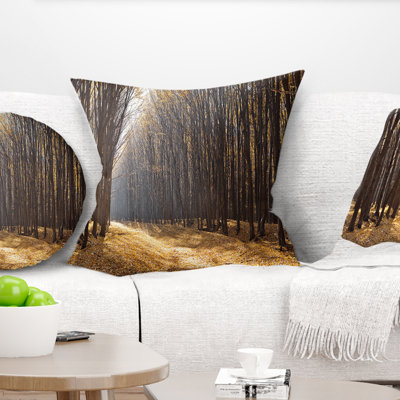 «Light in the Forest Path Panorama» - Coussin imprimé forêt
