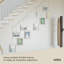 Exhibit Wall Picture Frames, Set of 5-53130150