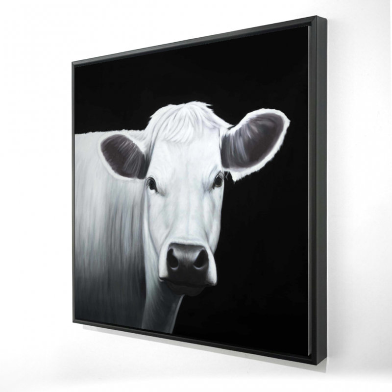 " White Cow "