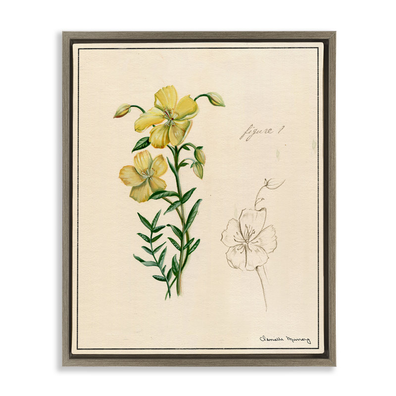 "Science Study", art mural sur toile flottante à fleurs jaunes, design par Danielle Murray, Cadre flottant orme Montalcino
