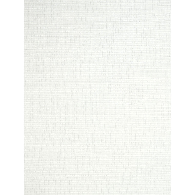 Savanna Seedling, Froth