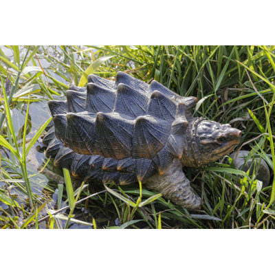 Snapping Turtle Statue