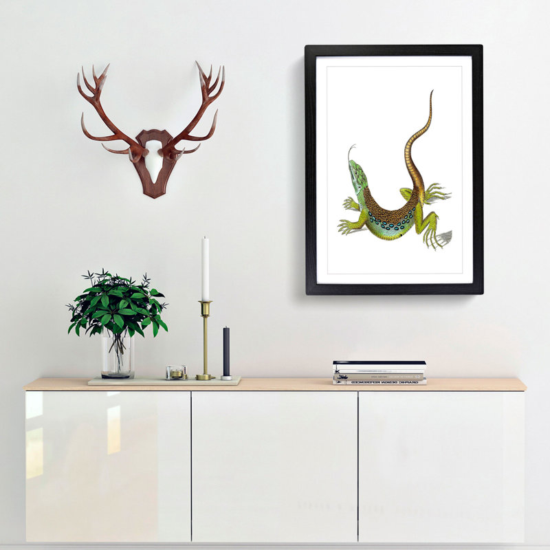 Great-Spotted Lizard by George Shaw - Picture Frame Painting Print, Black Framed, 48cm H x 36cm W x 2cm D