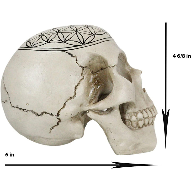Figurine crâne Derae