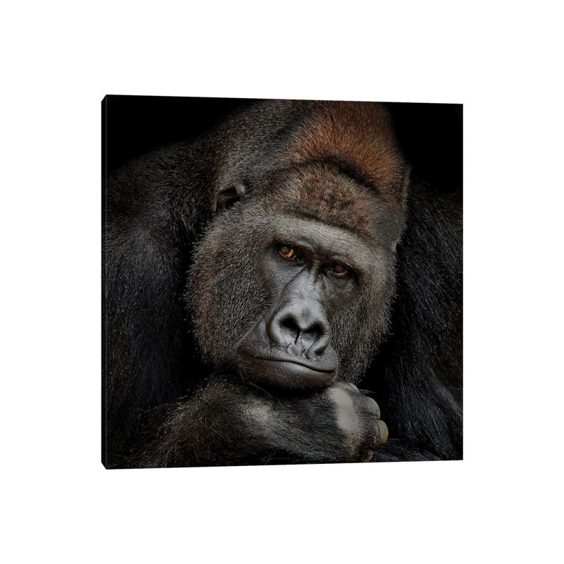 One Moment In Contact by Antje Wenner-Braun - Wrapped Canvas Print, 66.04 cm H x 66.04 cm W x 1.91 cm D