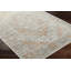 Oriental Indoor Rug-1846578335