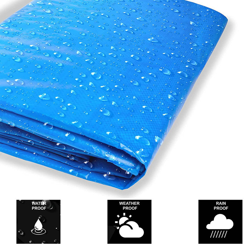 Blue Elephant Polyethylene Plastic Replacement Canopy, 152.4cm H x 213.4cm W x 2.5cm D, Blue