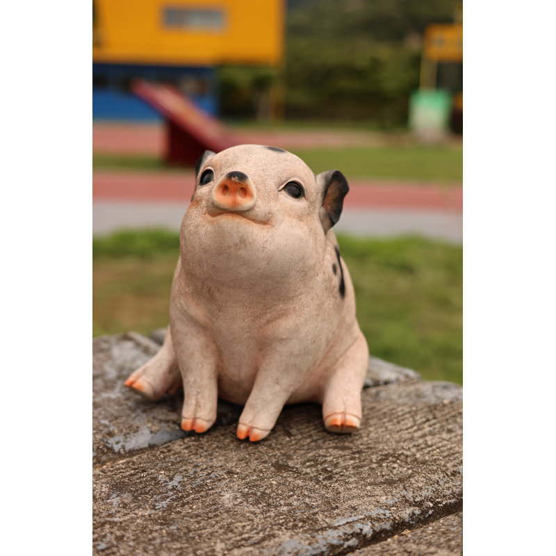 Sitting Pig Looking Up