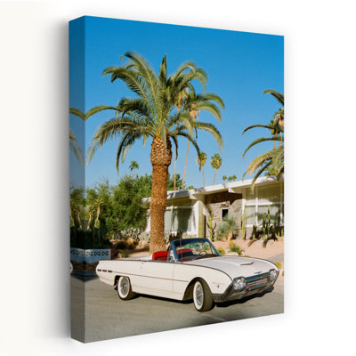 Contemporary Art Classic Modern Retro Palm Tree Architecture Landscape Art