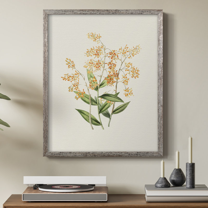 Impression florale vintage encadrée LXII - bois massif, H 11 po x l 9 po